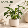 Orvenlith™ Indoor Plant Support Ring