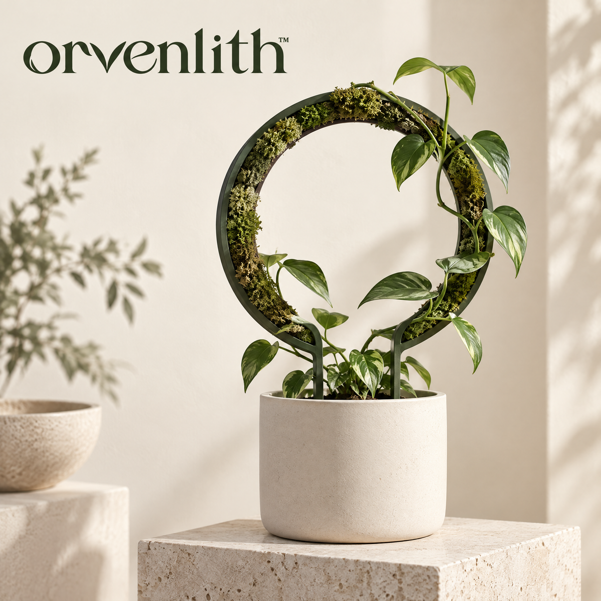 Orvenlith™ Circular Moss Plant Trellis