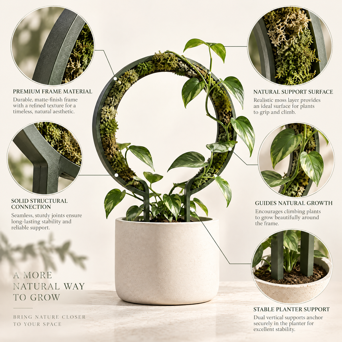 Orvenlith™ Circular Moss Plant Trellis — product image 3
