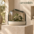 Orvenlith™ Modern Glass Plant Terrarium
